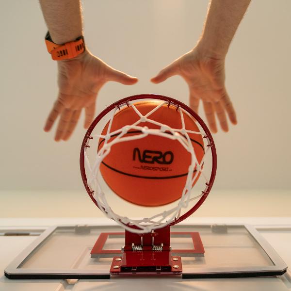 Ninja Basketball Hoop